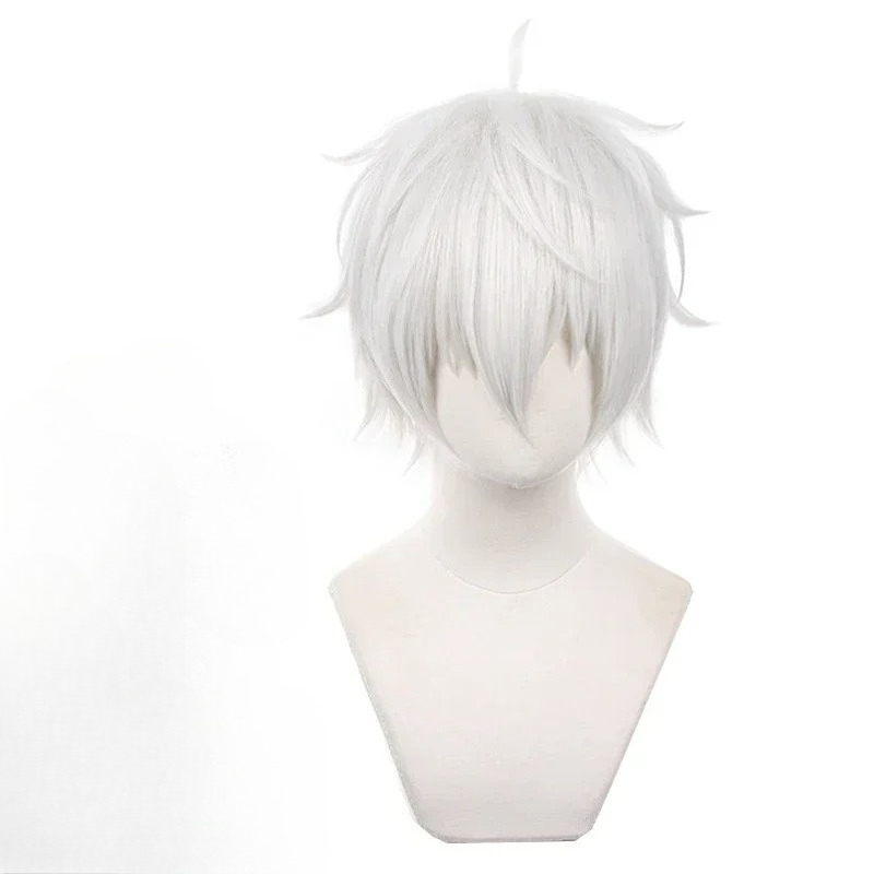 Anime Seishiro Nagi Cosplay Wi - огляд і ціна Cosplay Anime White Hair