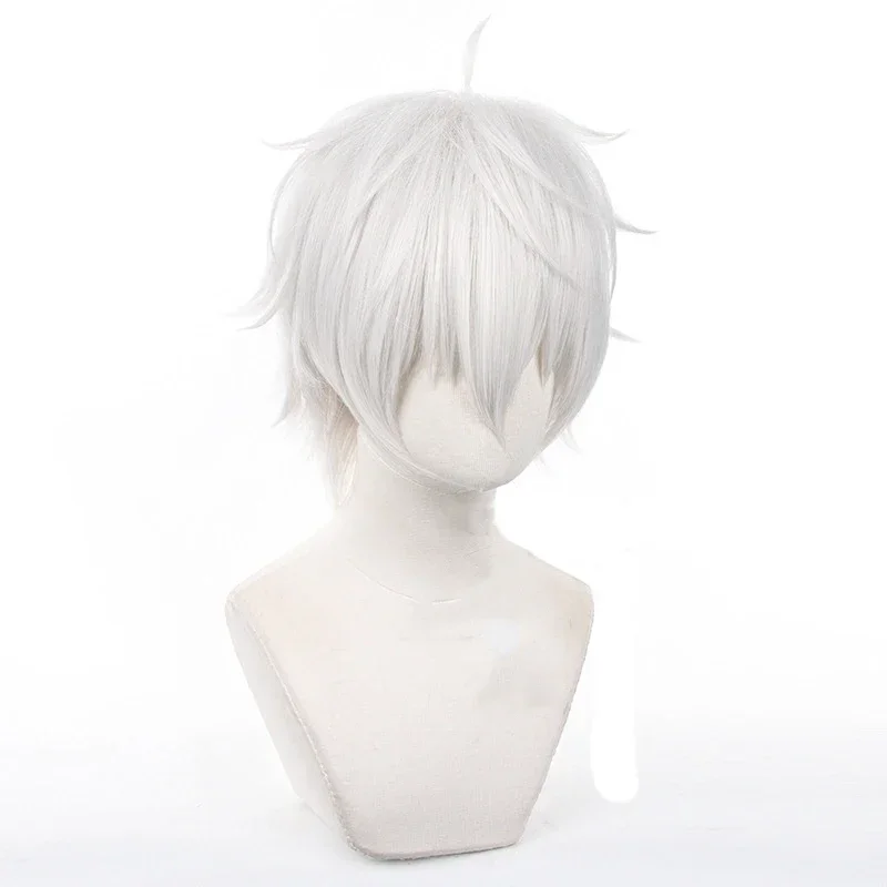 Anime Seishiro Nagi Cosplay Wi - огляд і ціна Cosplay Anime White Hair