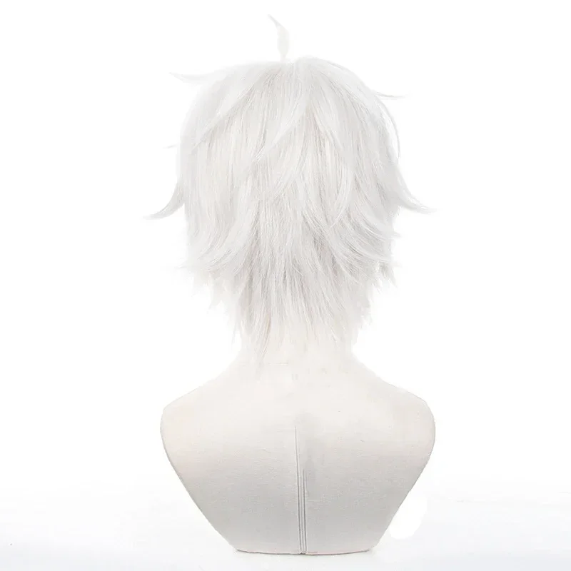 Anime Seishiro Nagi Cosplay Wi - огляд і ціна Cosplay Anime White Hair